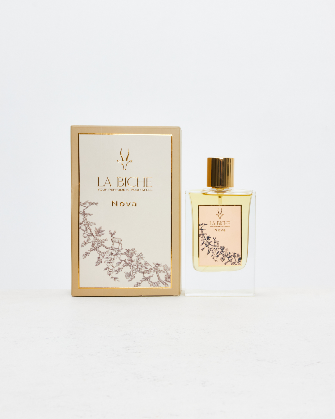 Nova Perfume